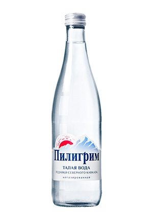 Купить Вода Пилигрим 0,5 л, без газа, стекло | Mosnapitki.ru