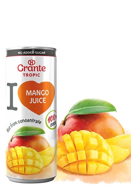 Сок Манго прямой отжим GRANTE 0,25