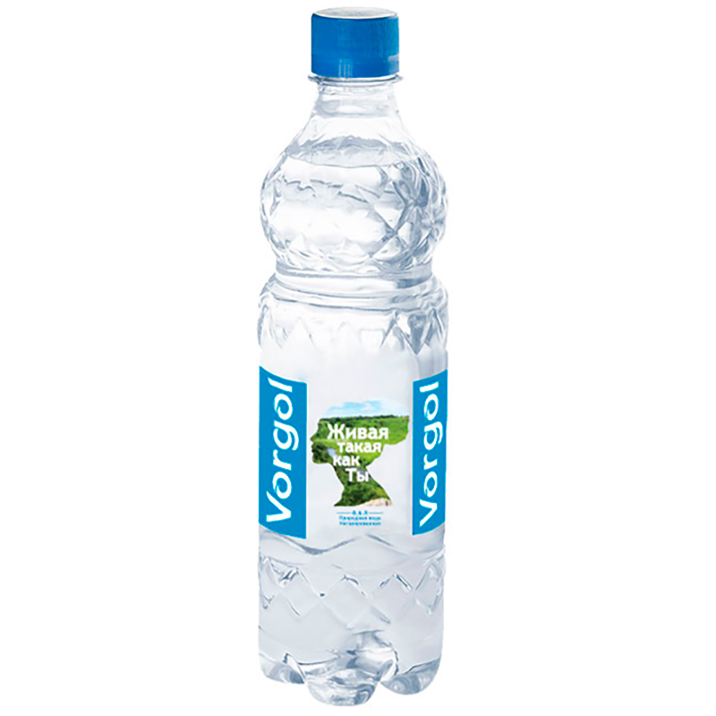 Минеральная природная вода «Vorgol», Воргол 0.6л, без газа, пэт