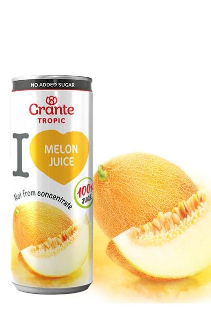 Сок из Дыни прямой отжим GRANTE  0,25