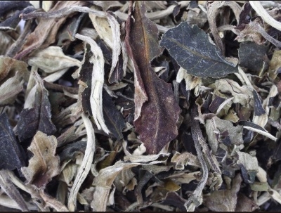 TWG Pai Mu Tan Tea Белый чай 100гр.