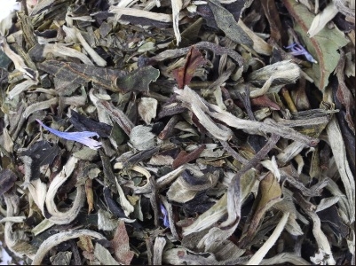 TWG Sacred Water Tea Зеленый и белый чай 100гр.