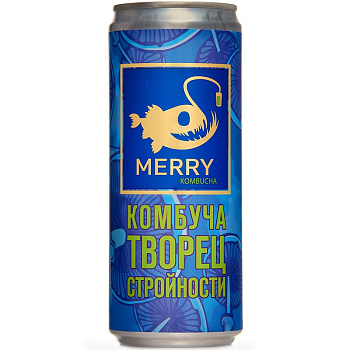 Безалкогольный Напиток Merry Kombucha, Творец стройности (с семенами Чиа), 0.33л, ж/б
