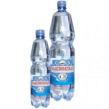 Вода Славяновская 0,5л. х 12шт. Пэт Газированная