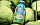 Напитки CocoWater (Тайланд)