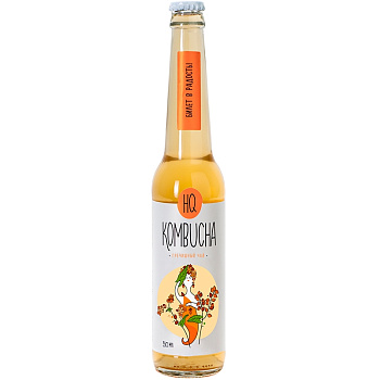 Комбуча «HQ Combucha» Buckwheat Tea, Гречишный чай, 0.33л, стекло