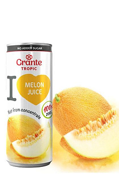 Сок из Дыни прямой отжим GRANTE  0,25