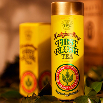 Чай TWG Darjeeling First Flush Дарджилинг Первый Флеш 100гр.
